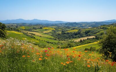 Exploring Italy’s Hidden Gems: a Journey Through Nature and Biodiversity